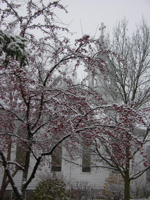 Christ Lutheran Church in Snow, Tree with Red Berries