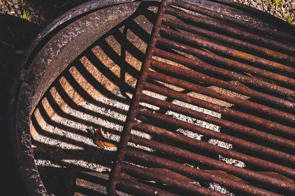 Fire Pit Campground Grill - William O'Brien State Park, Minnesota