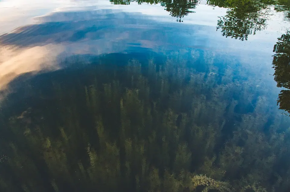 Lake Alice at William O'Brien State Park, Minnesota