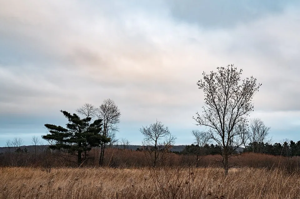 Late Autumn at William O'Brien State Park, Minnesota