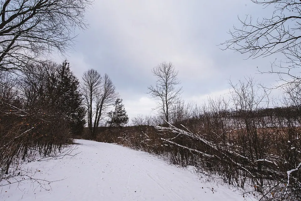Snowy Hiking Trail at William O'Brien State Park, Minnesota