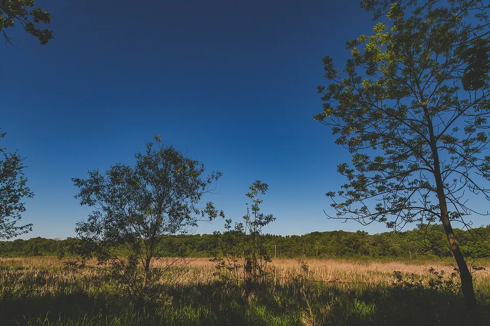 William O'Brien State Park Field, Minnesota