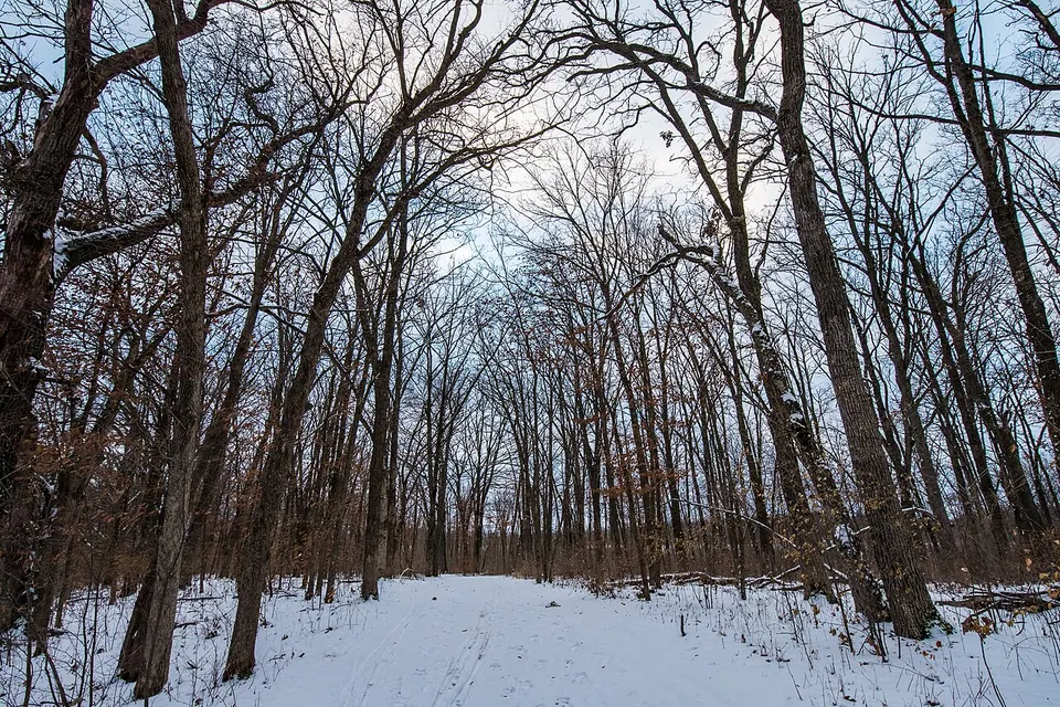Winter at William O'Brien State Park - Minnesota